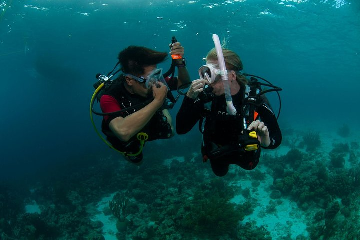 PADI Scuba Diver Course - Photo 1 of 13